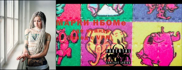 ECSTASY Бородино