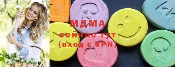 ECSTASY Бородино