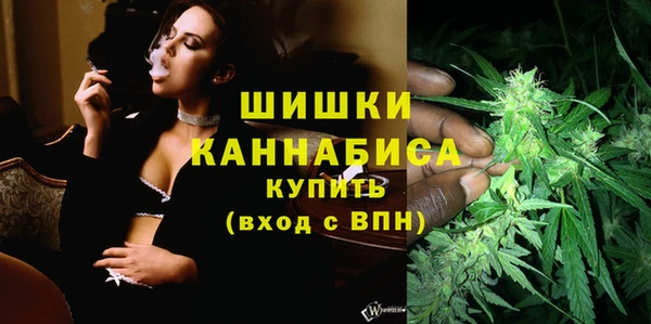 ECSTASY Бородино